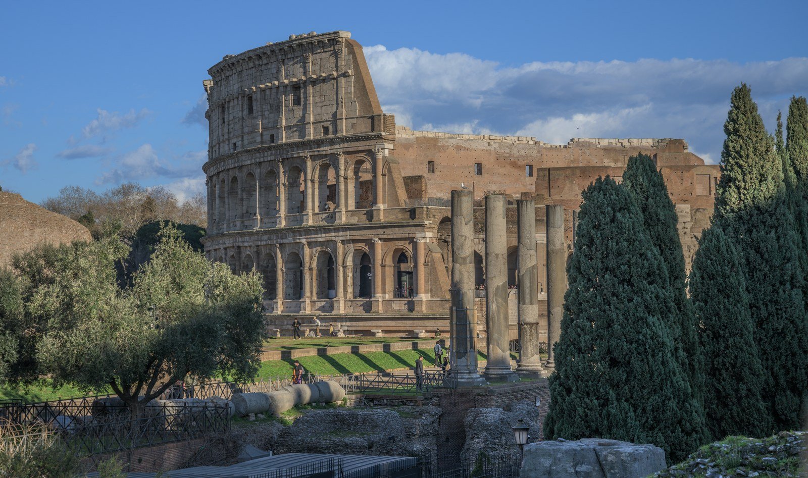 Il Colosseo visto dal Foro Romano, con i pini al tramonto
